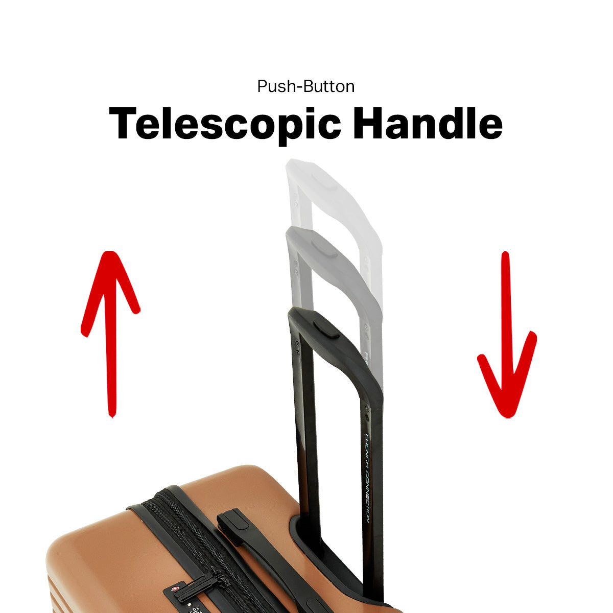 French Connection Mersai 5-Piece Luggage Travel Set – Travelers